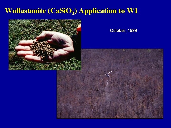 Wollastonite (Ca. Si. O 3) Application to W 1 October, 1999 
