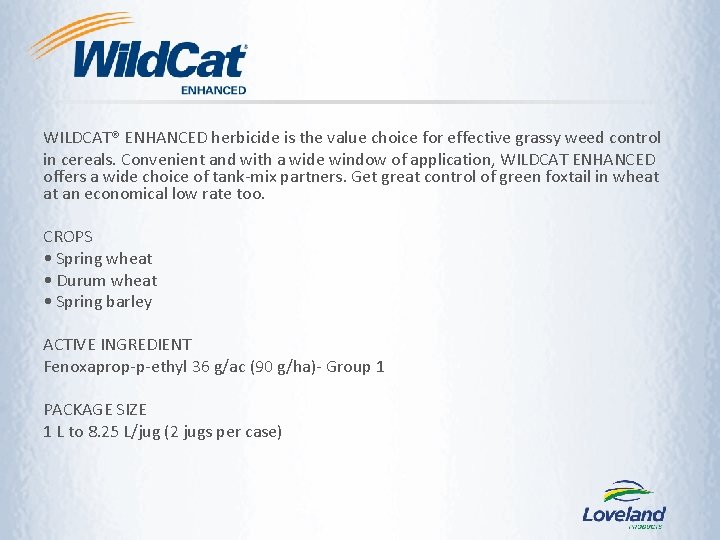 WILDCAT® ENHANCED herbicide is the value choice for effective grassy weed control in cereals. WILDCAT® ENHANCED herbicide is the value choice for effective grassy weed control in cereals.