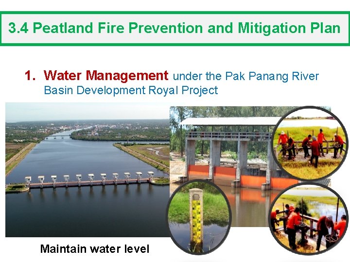 3. 4 Peatland Fire Prevention and Mitigation Plan 1. Water Management under the Pak