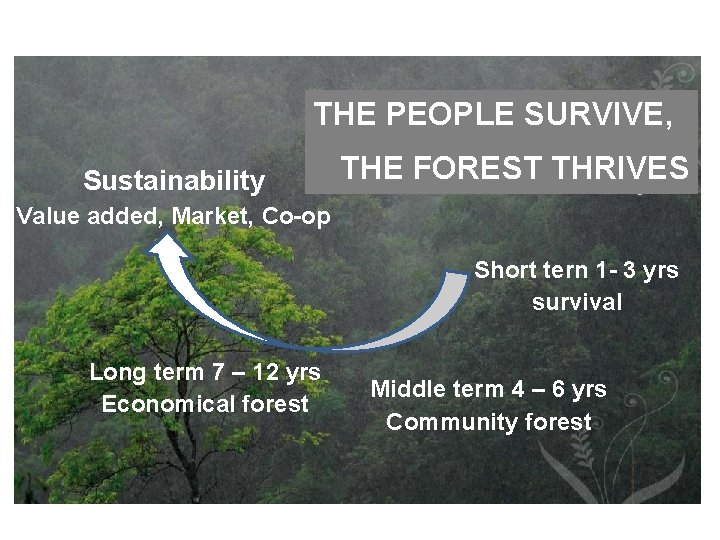 THE PEOPLE SURVIVE, Sustainability THE FOREST THRIVES Value added, Market, Co-op Short tern 1