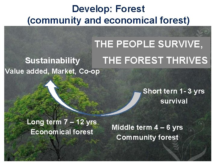 Develop: Forest (community and economical forest) THE PEOPLE SURVIVE, Sustainability THE FOREST THRIVES Value