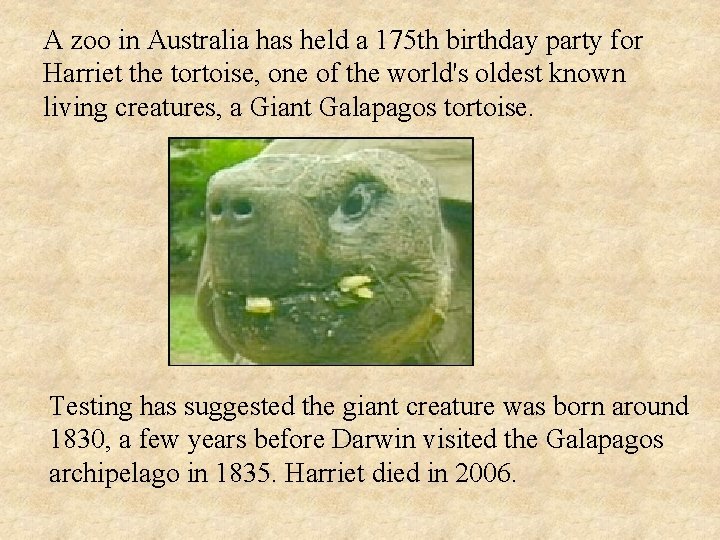 A zoo in Australia has held a 175 th birthday party for Harriet the A zoo in Australia has held a 175 th birthday party for Harriet the
