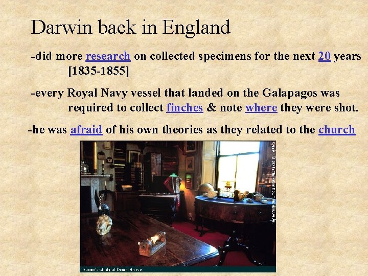 Darwin back in England -did more research on collected specimens for the next 20 Darwin back in England -did more research on collected specimens for the next 20