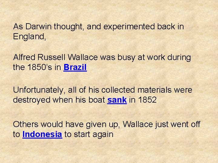 As Darwin thought, and experimented back in England, Alfred Russell Wallace was busy at As Darwin thought, and experimented back in England, Alfred Russell Wallace was busy at