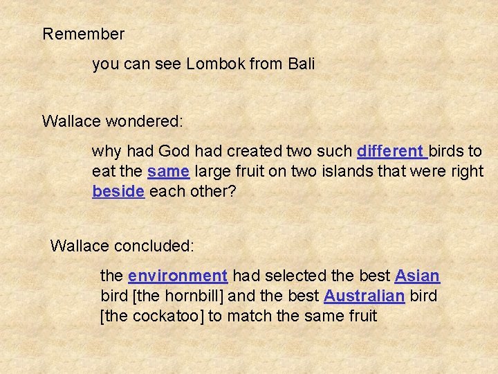 Remember you can see Lombok from Bali Wallace wondered: why had God had created Remember you can see Lombok from Bali Wallace wondered: why had God had created