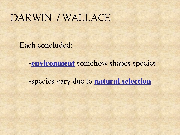 DARWIN / WALLACE Each concluded: -environment somehow shapes species -species vary due to natural DARWIN / WALLACE Each concluded: -environment somehow shapes species -species vary due to natural