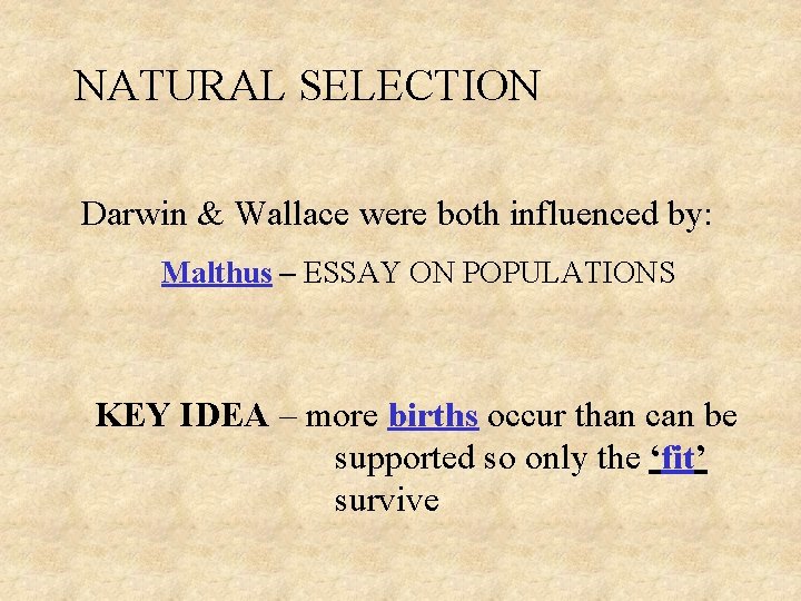 NATURAL SELECTION Darwin & Wallace were both influenced by: Malthus – ESSAY ON POPULATIONS NATURAL SELECTION Darwin & Wallace were both influenced by: Malthus – ESSAY ON POPULATIONS