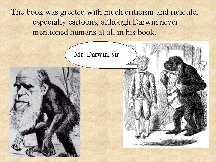 The book was greeted with much criticism and ridicule, especially cartoons, although Darwin never The book was greeted with much criticism and ridicule, especially cartoons, although Darwin never