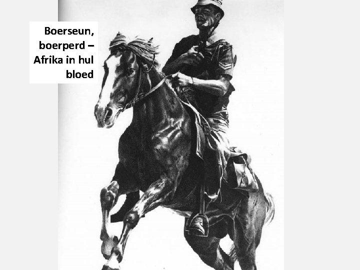 Boerseun, boerperd – Afrika in hul bloed Boerseun, boerperd – Afrika in hul bloed