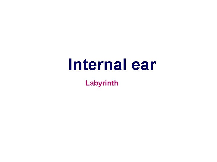Internal ear Labyrinth 