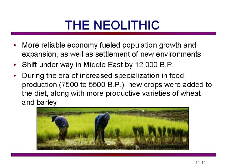 THE NEOLITHIC • More reliable economy fueled population growth and expansion, as well as