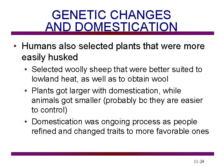 GENETIC CHANGES AND DOMESTICATION • Humans also selected plants that were more easily husked