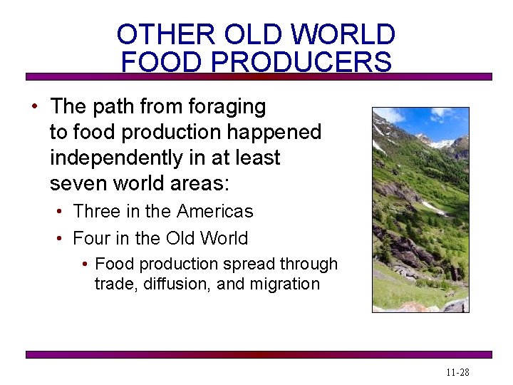 OTHER OLD WORLD FOOD PRODUCERS • The path from foraging to food production happened