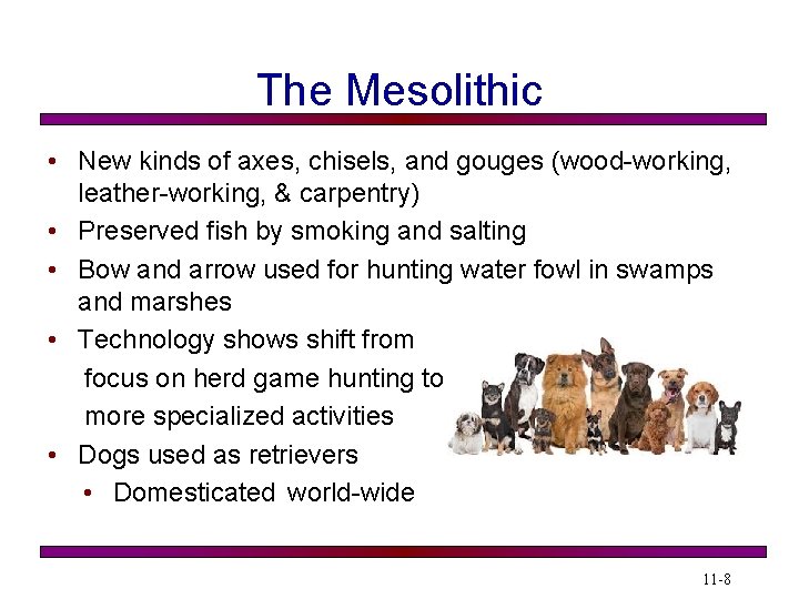 The Mesolithic • New kinds of axes, chisels, and gouges (wood-working, leather-working, & carpentry)