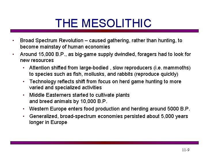THE MESOLITHIC • • Broad Spectrum Revolution – caused gathering, rather than hunting, to
