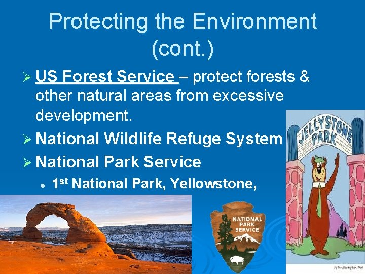 Protecting the Environment (cont. ) Ø US Forest Service – protect forests & other