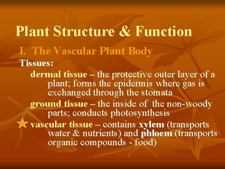 Plant Structure & Function I. The Vascular Plant Body Tissues: dermal tissue – the