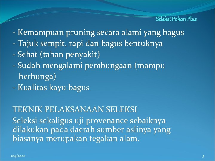 Seleksi Pohon Plus - Kemampuan pruning secara alami yang bagus - Tajuk sempit, rapi Seleksi Pohon Plus - Kemampuan pruning secara alami yang bagus - Tajuk sempit, rapi