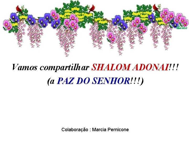 Vamos compartilhar SHALOM ADONAI!!! ADONAI (a PAZ DO SENHOR!!!) SENHOR Colaboração : Marcia Pernicone