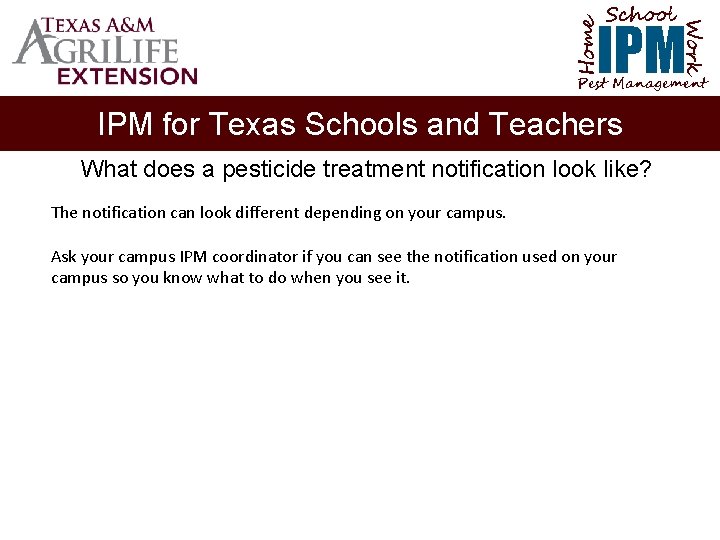 School Home Work IPM Pest Management IPM for Texas Schools and Teachers What does
