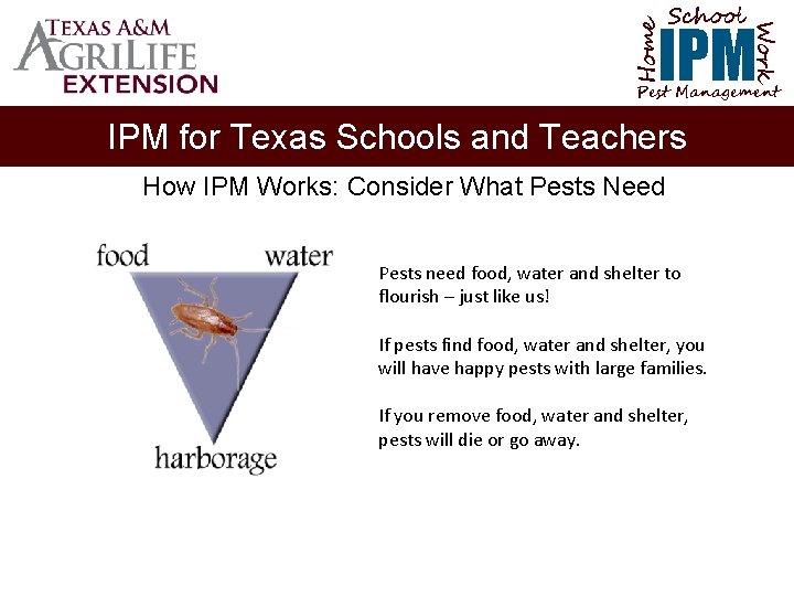 School Home Work IPM Pest Management IPM for Texas Schools and Teachers How IPM