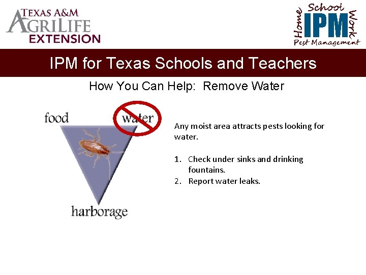 School Home Work IPM Pest Management IPM for Texas Schools and Teachers How You
