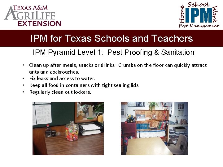 School Home Work IPM Pest Management IPM for Texas Schools and Teachers IPM Pyramid