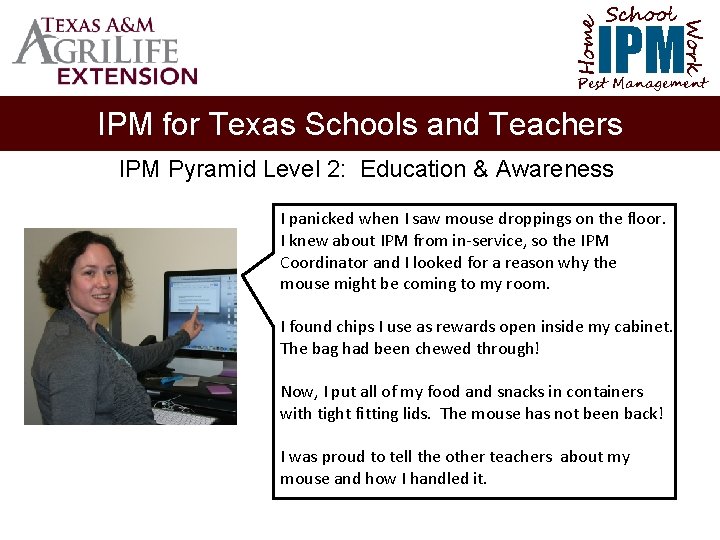 School Home Work IPM Pest Management IPM for Texas Schools and Teachers IPM Pyramid