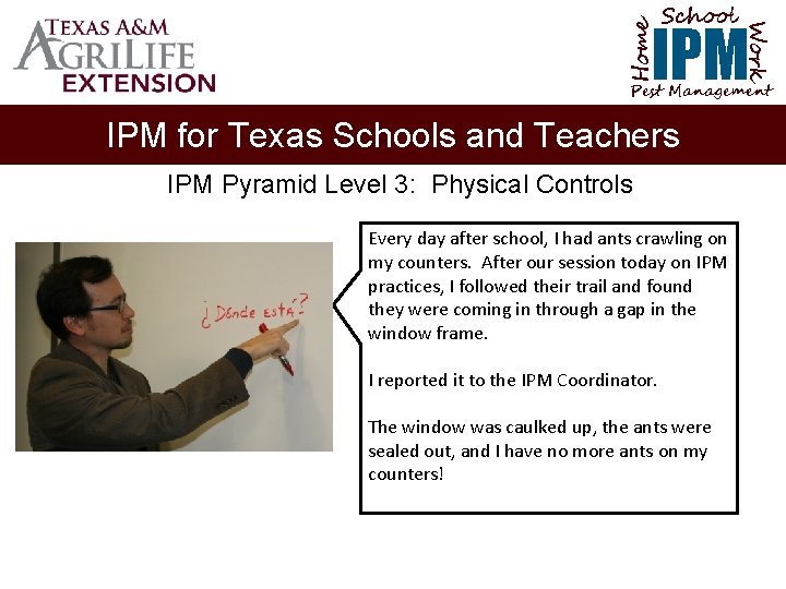 School Home Work IPM Pest Management IPM for Texas Schools and Teachers IPM Pyramid
