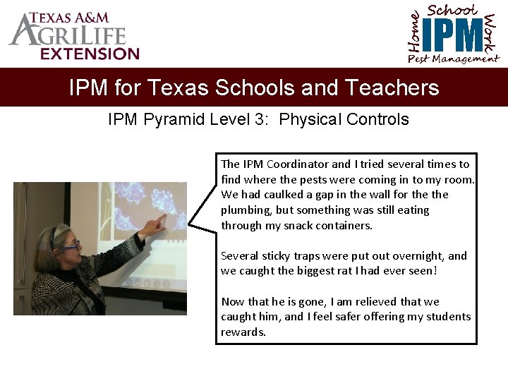 School Home Work IPM Pest Management IPM for Texas Schools and Teachers IPM Pyramid