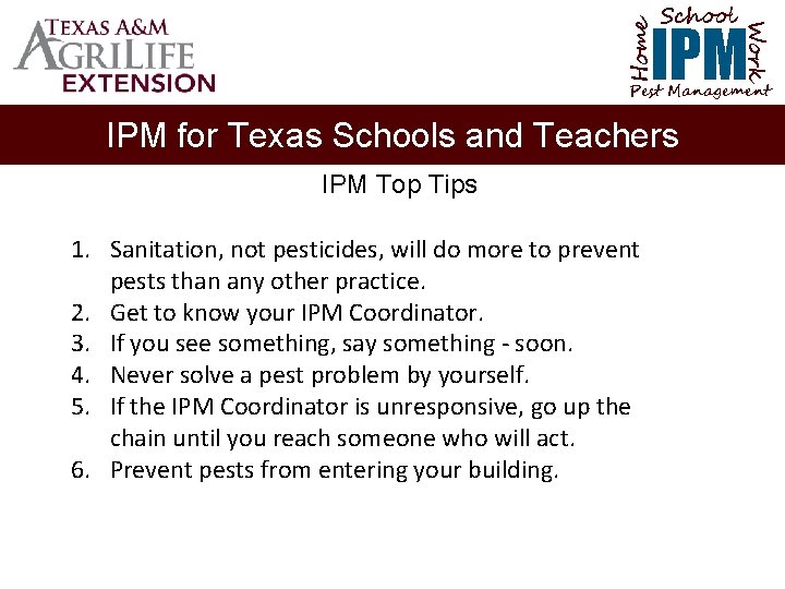 School Home Work IPM Pest Management IPM for Texas Schools and Teachers IPM Top