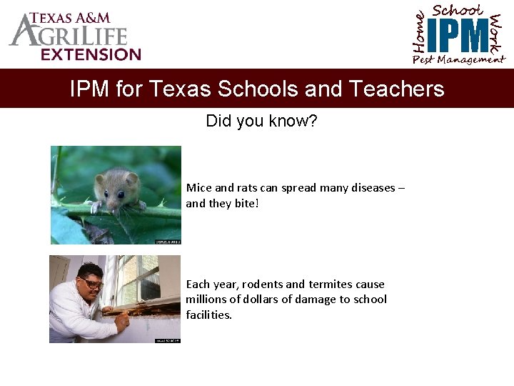 School Home Work IPM Pest Management IPM for Texas Schools and Teachers Did you