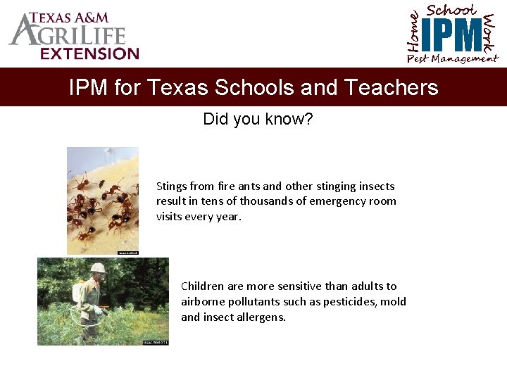 School Home Work IPM Pest Management IPM for Texas Schools and Teachers Did you