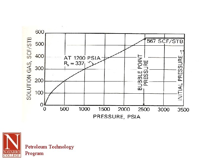 Petroleum Technology Program 