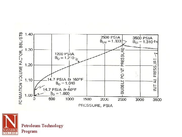 Petroleum Technology Program 