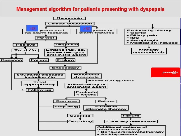 Management algorithm for patients presenting with dyspepsia <60 >60 ﻣﻬﻬﻤﻤﻤﻤﻢ 