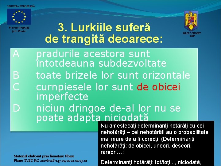 UNIUNEA EUROPEANĂ Proiect finantat prin Phare A B C D 3. Lurkiile suferă de