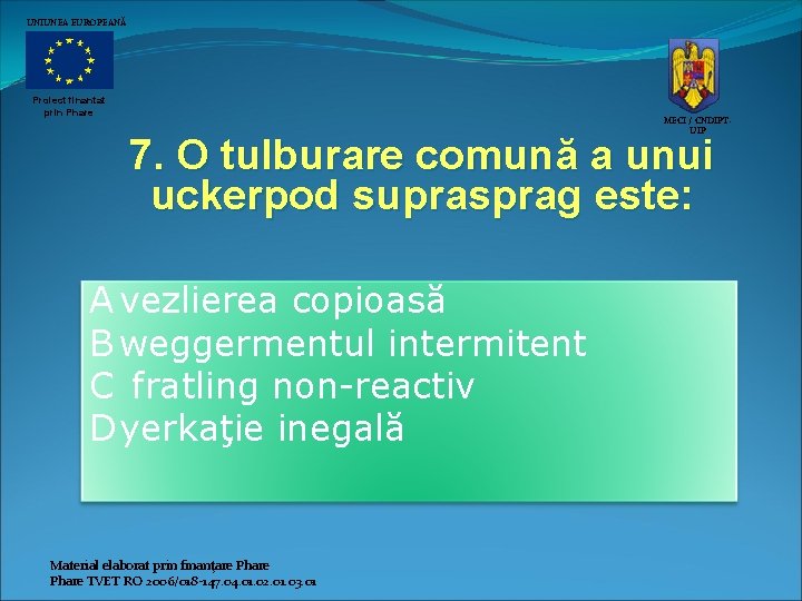 UNIUNEA EUROPEANĂ Proiect finantat prin Phare MECI / CNDIPTUIP 7. O tulburare comună a