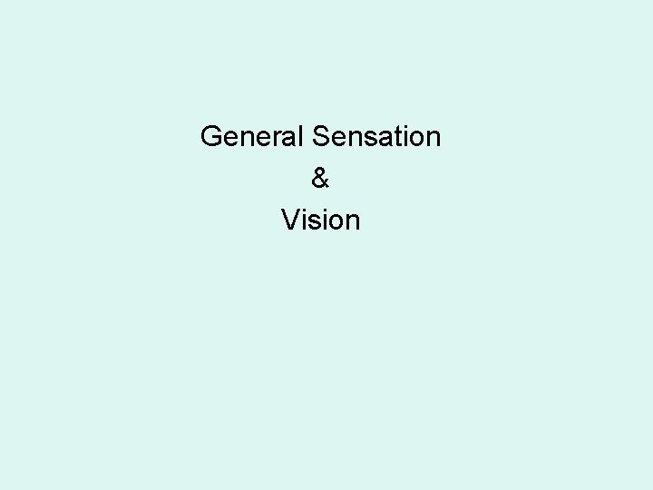 General Sensation & Vision 