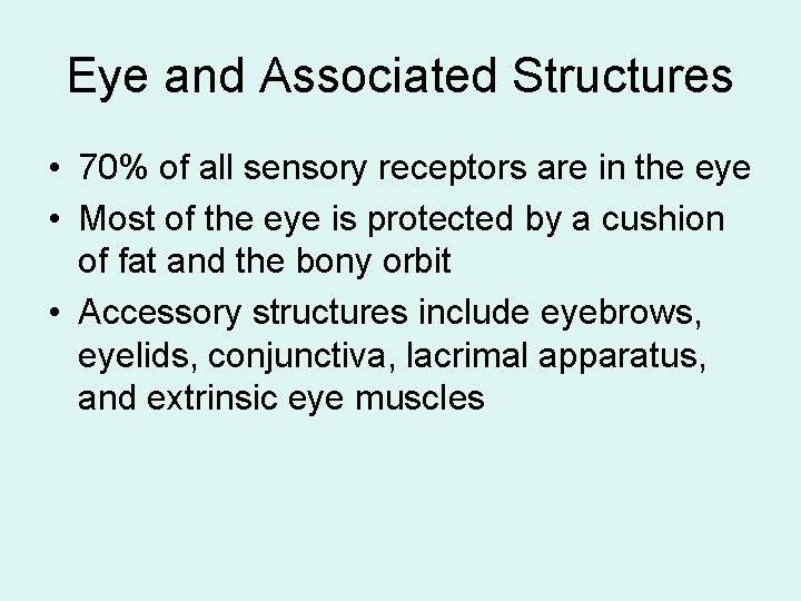Eye and Associated Structures • 70% of all sensory receptors are in the eye