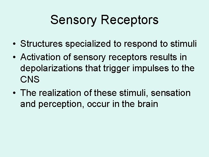 Sensory Receptors • Structures specialized to respond to stimuli • Activation of sensory receptors