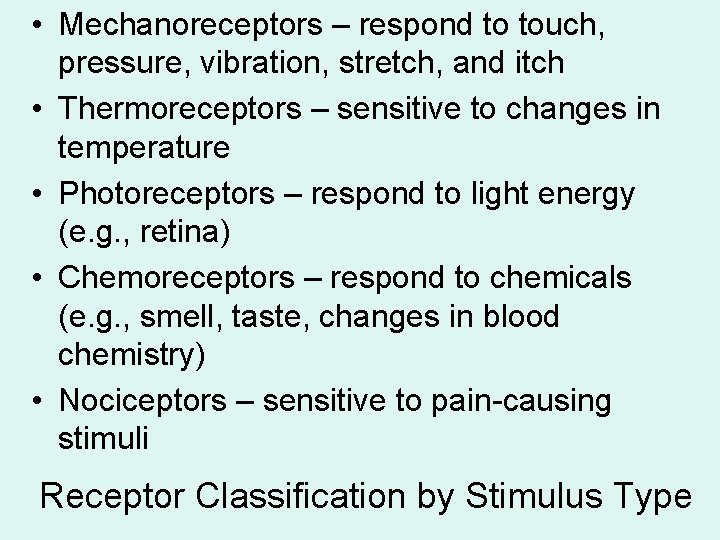  • Mechanoreceptors – respond to touch, pressure, vibration, stretch, and itch • Thermoreceptors