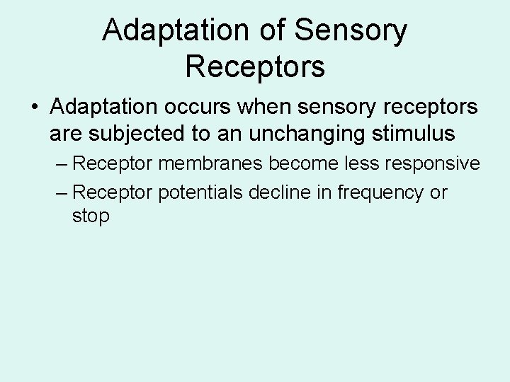 Adaptation of Sensory Receptors • Adaptation occurs when sensory receptors are subjected to an