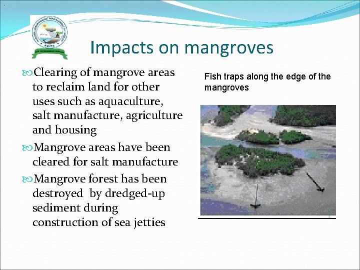 . Impacts on mangroves Clearing of mangrove areas to reclaim land for other uses