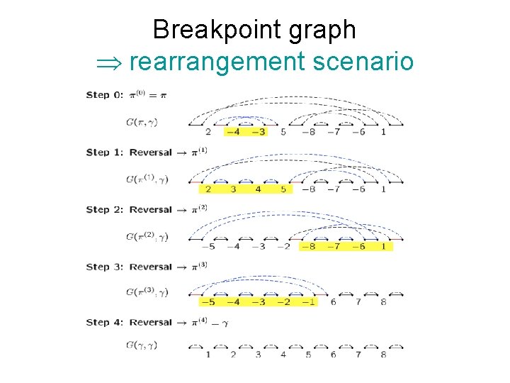 Breakpoint graph Þ rearrangement scenario 