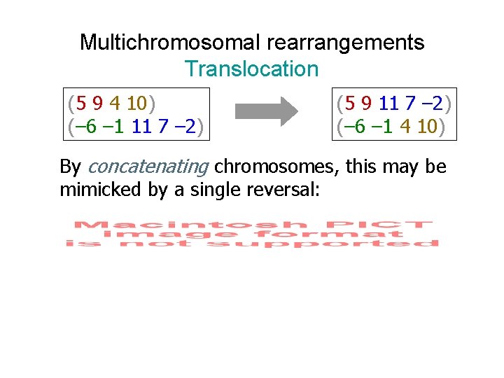 Multichromosomal rearrangements Translocation (5 9 4 10) (– 6 – 1 11 7 –