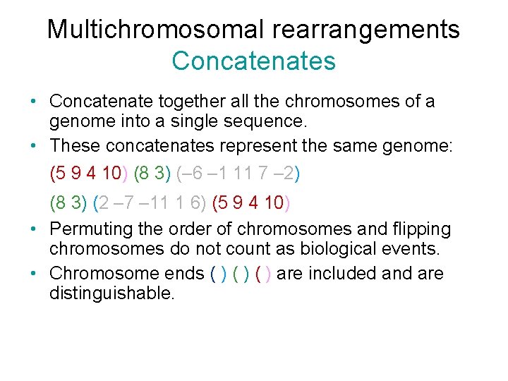Multichromosomal rearrangements Concatenates • Concatenate together all the chromosomes of a genome into a