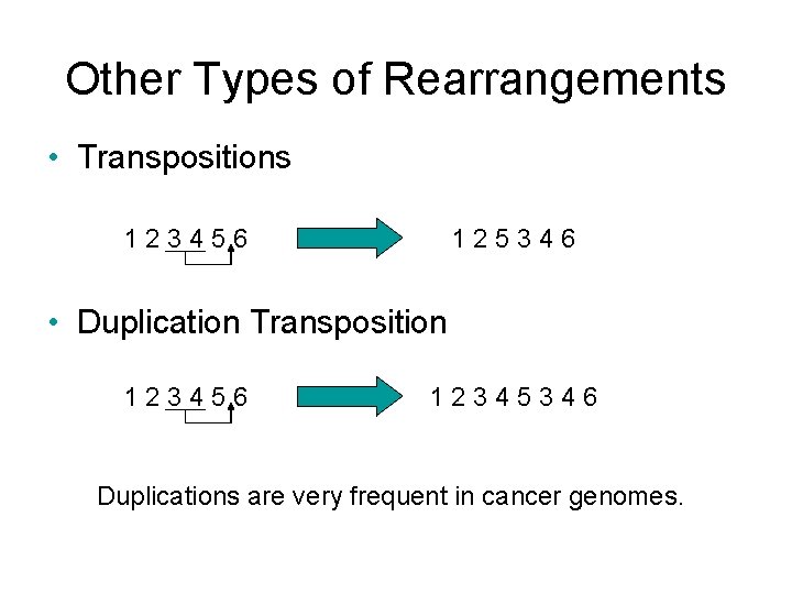 Other Types of Rearrangements • Transpositions 123456 125346 • Duplication Transposition 123456 12345346 Duplications