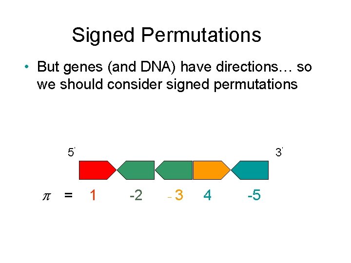 Signed Permutations • But genes (and DNA) have directions… so we should consider signed