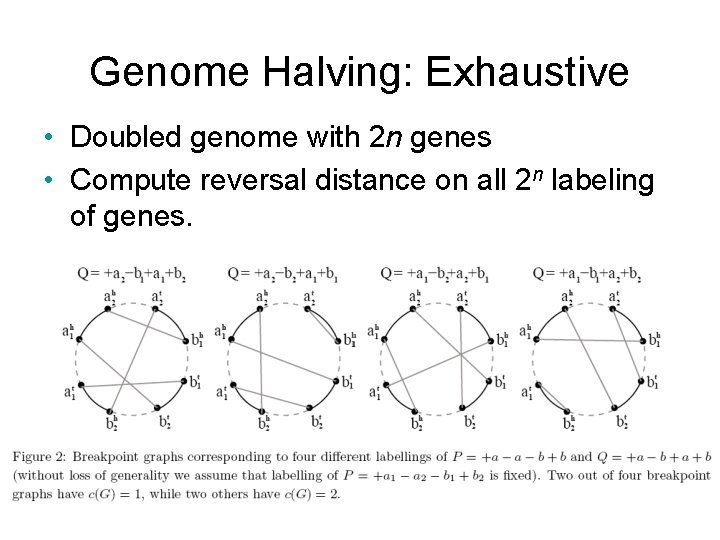 Genome Halving: Exhaustive • Doubled genome with 2 n genes • Compute reversal distance